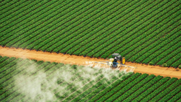 Reliable Ecorse, MI Pest Control Solutions